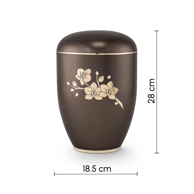 Clarity Orchids Biodegradable Cremation Urn for Ashes Brown Dimensions