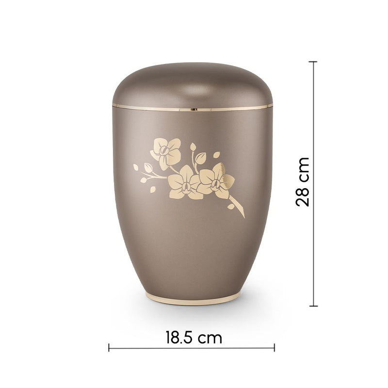 Clarity Orchids Biodegradable Cremation Urn for Ashes Grey Dimensions