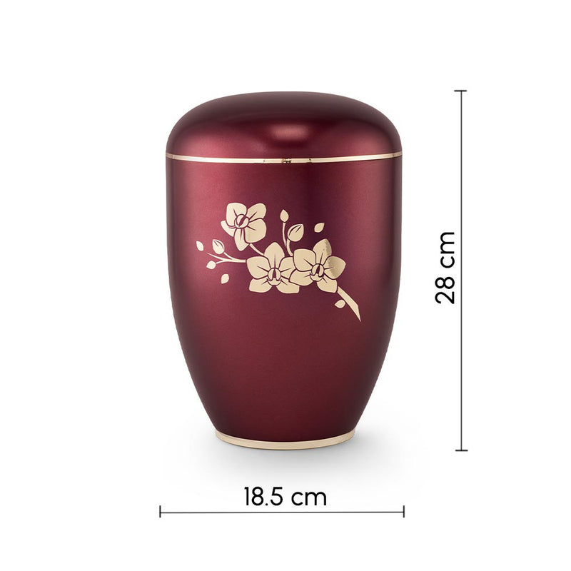    Clarity Orchids Biodegradable Cremation Urn for Ashes Maroon Dimensions