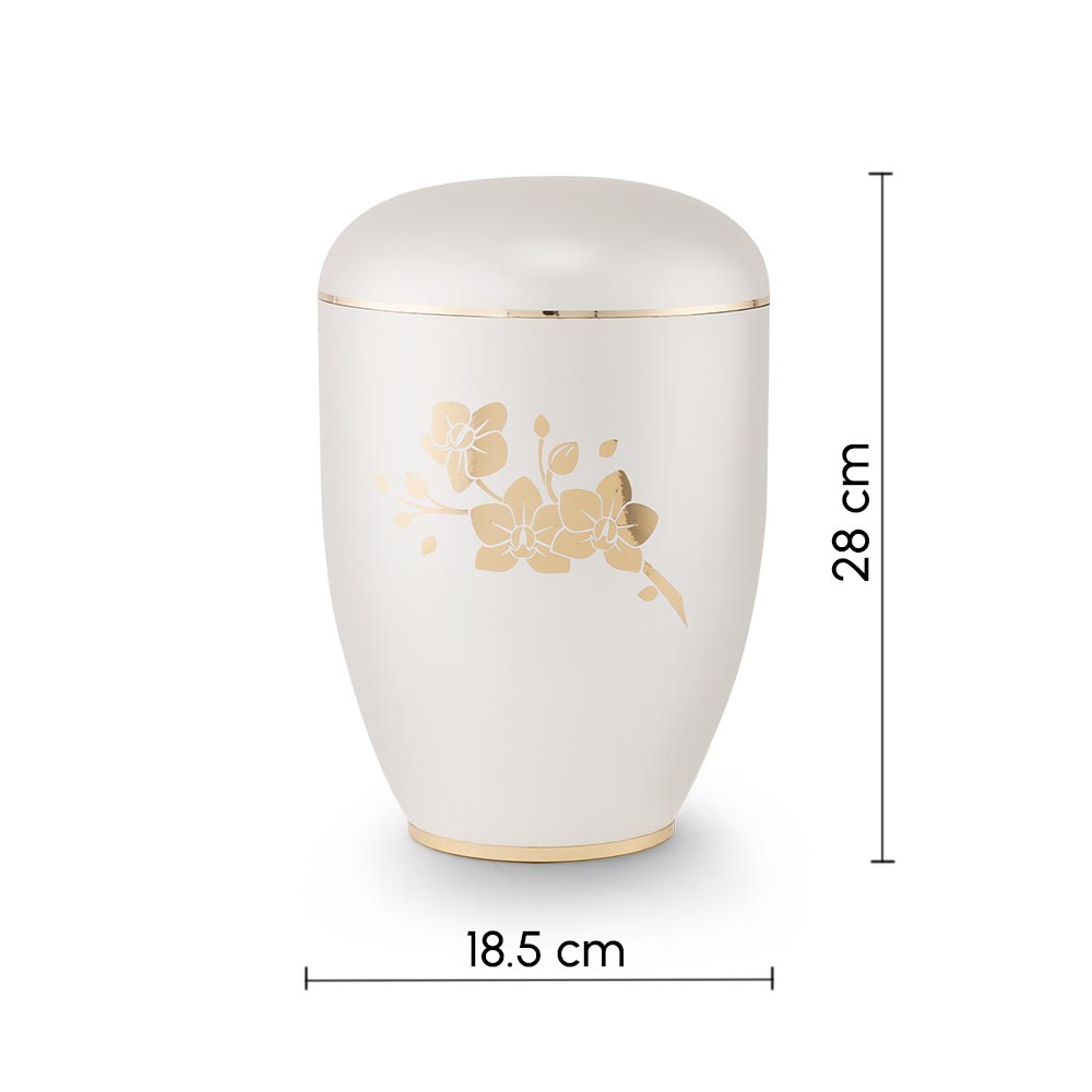 Clarity Orchids Biodegradable Cremation Urn for Ashes White Dimensions