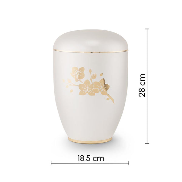 Clarity Orchids Biodegradable Cremation Urn for Ashes White Dimensions