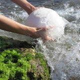 Embark Round Biodegradable Urn for Ashes Adult in Water