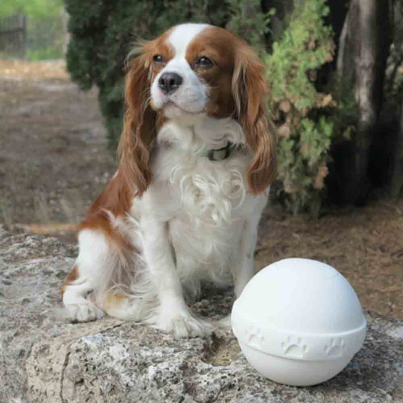 Embark Round Biodegradable Urn for Pets Ashes Small with Dog