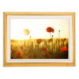 Frame Cremation Urn for Ashes Painted Gold Flower Field