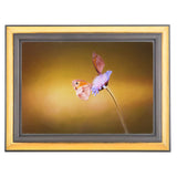 Frame Cremation Urn for Ashes Painted Gold and Silver Butterfly on Flower