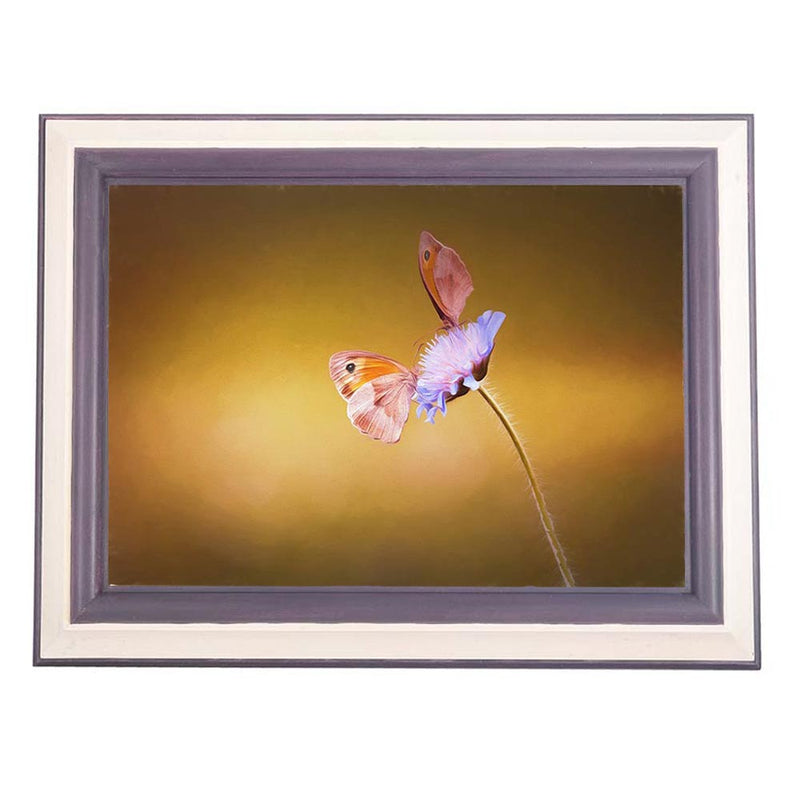 Frame Cremation Urn for Ashes Painted Purple Butterfly on Flower