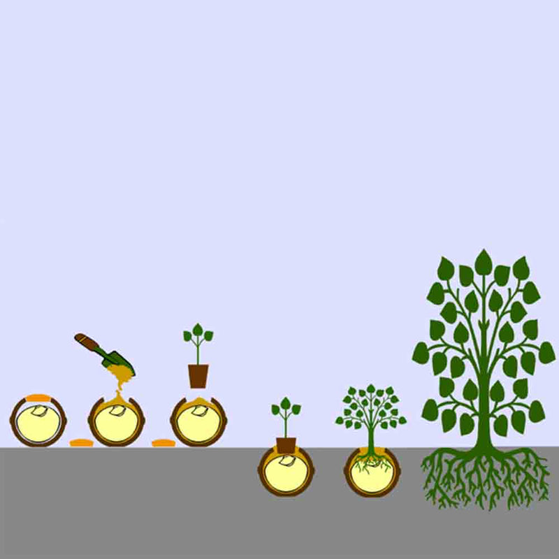 Geos Earth Biodegradable Urn for Ashes Burial Diagram - Infant