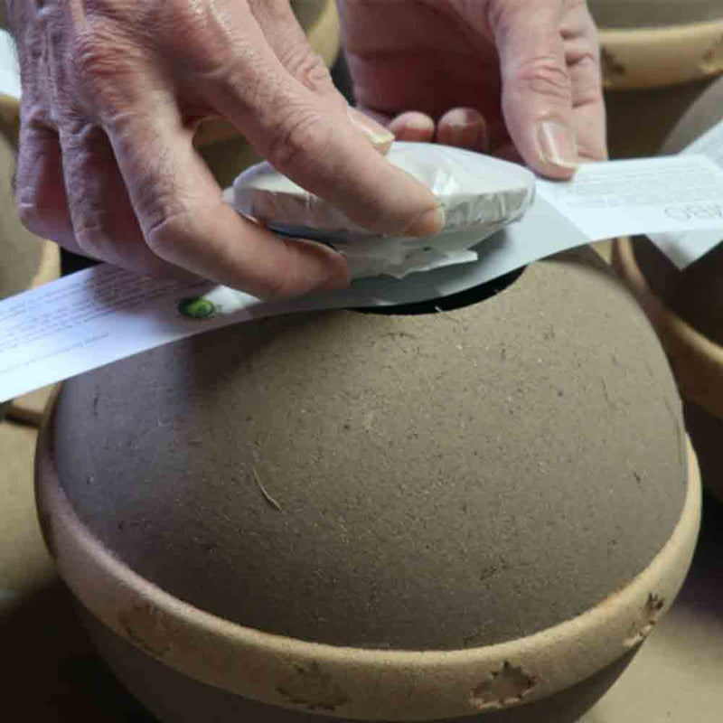 Geos Earth Biodegradable Urn for Ashes Burial Lid - Infant