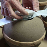 Geos Earth Biodegradable Urn for Ashes Burial Lid