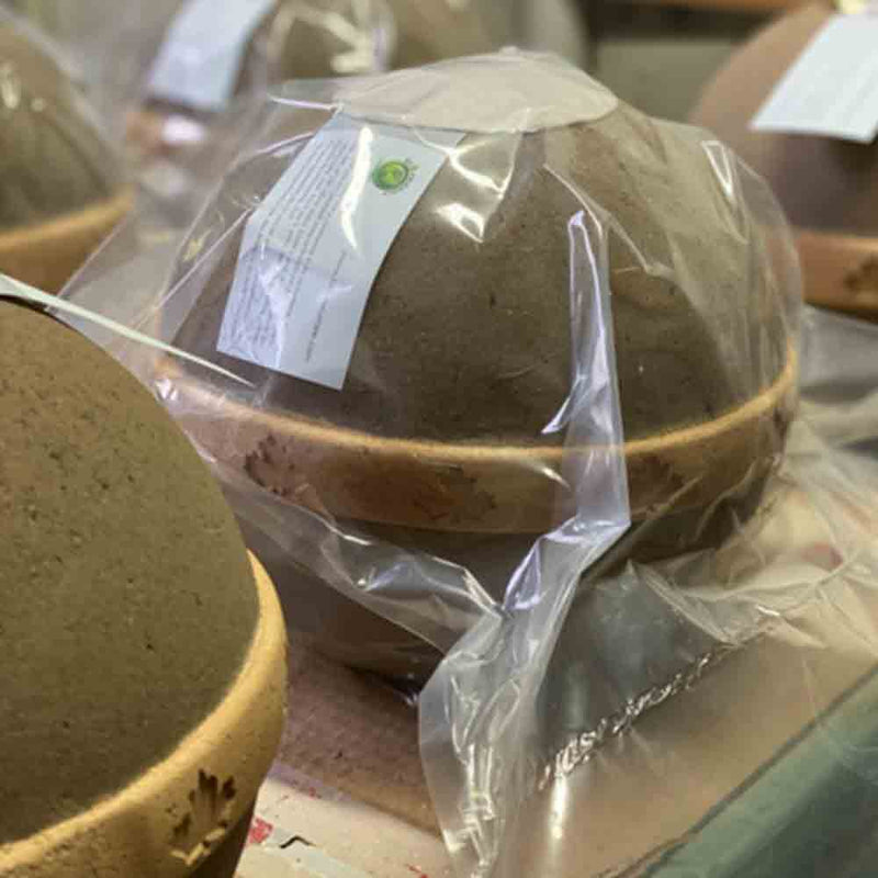 Geos Earth Biodegradable Urn for Ashes Burial in Package
