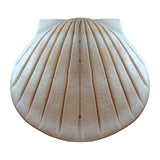 Shell Biodegradable Water Urn for Ashes in Pearl