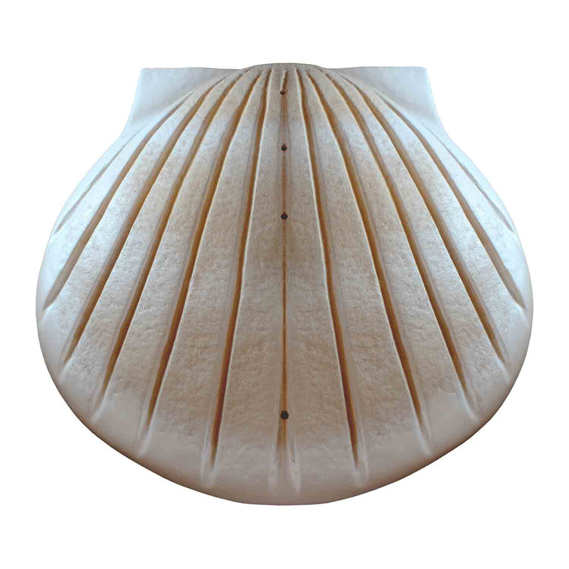 Shell Biodegradable Water Urn for Ashes in Pearl