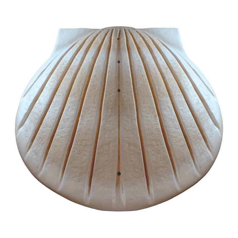 Shell Biodegradable Water Urn for Ashes in Pearl