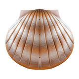 Shell Biodegradable Water Urn for Ashes in Sand