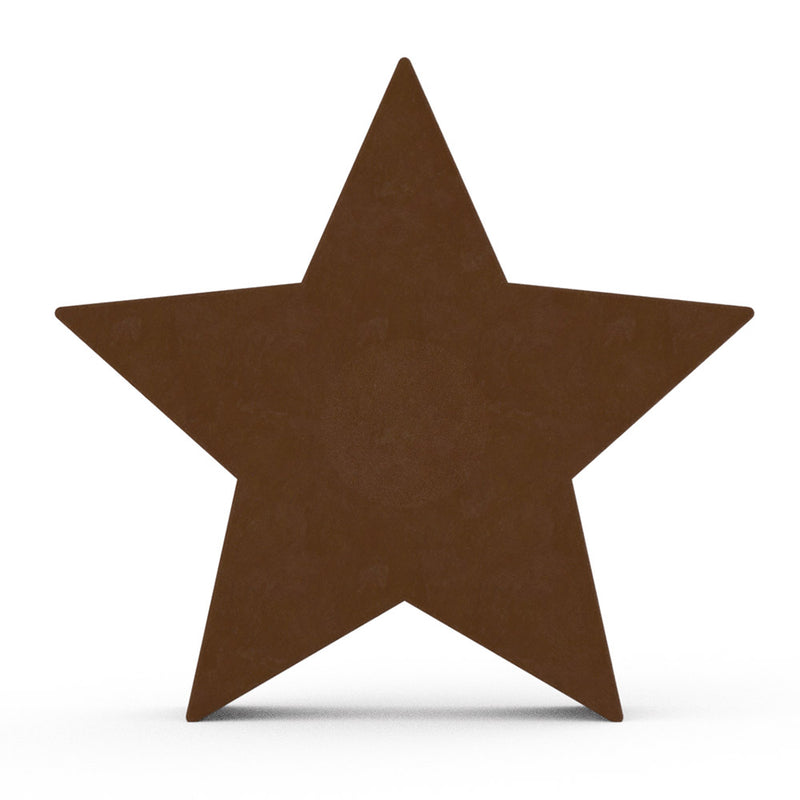 Star Ashes Miniature Keepsake Urn in Waxed Steel Front View