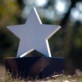 Star Cremation Urn for Ashes Pet in Stainless Steel Outside