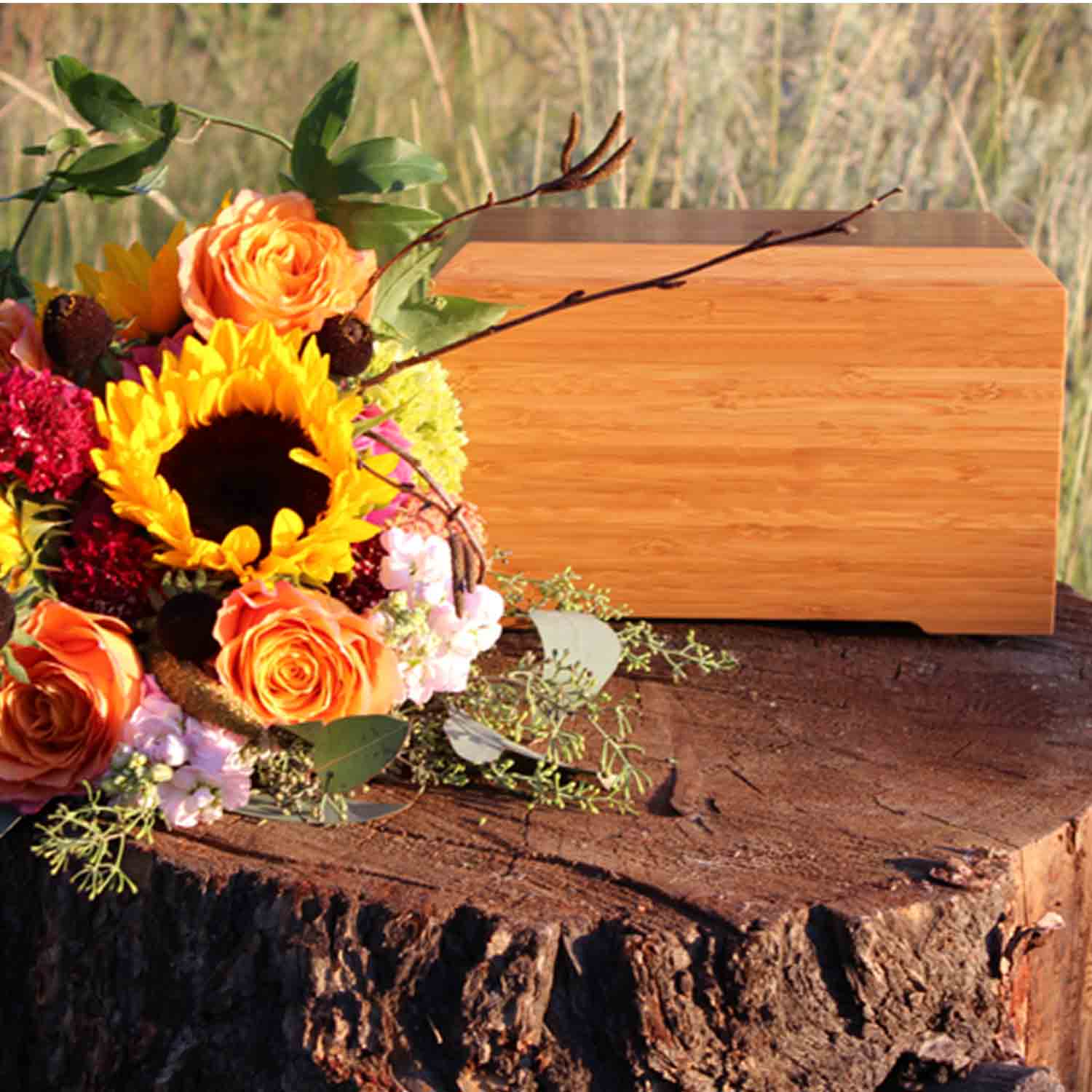 Tribute Solid Bamboo Semi Permanent Biodegradable Urn for Ashes On A Log