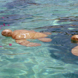 Turtle Biodegradable Water Urn for Ashes Floating in the Water with Petals