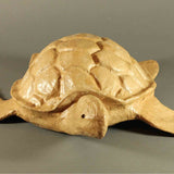 Turtle Biodegradable Water Urn for Ashes Large Front View