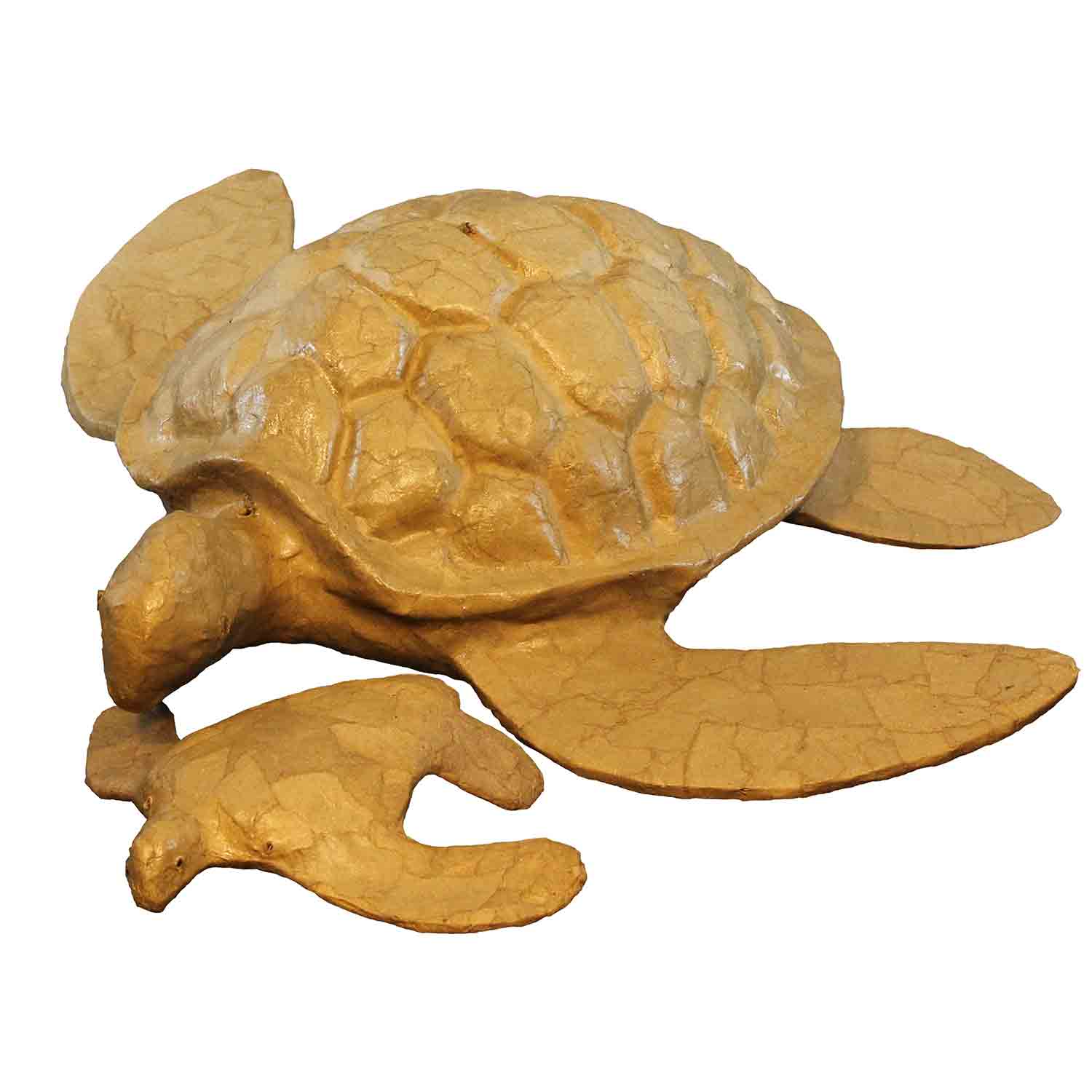 Turtle Biodegradable Water Urn for Ashes Large with Small White Background