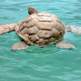 Turtle Biodegradable Water Urn for Ashes in Water