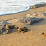 Turtle Biodegradable Water Urn for Ashes on the Sand