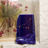 zodiac star sign adult cremation urn for ashes range capricorn on shelf